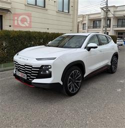 جیتۆر داشينگ